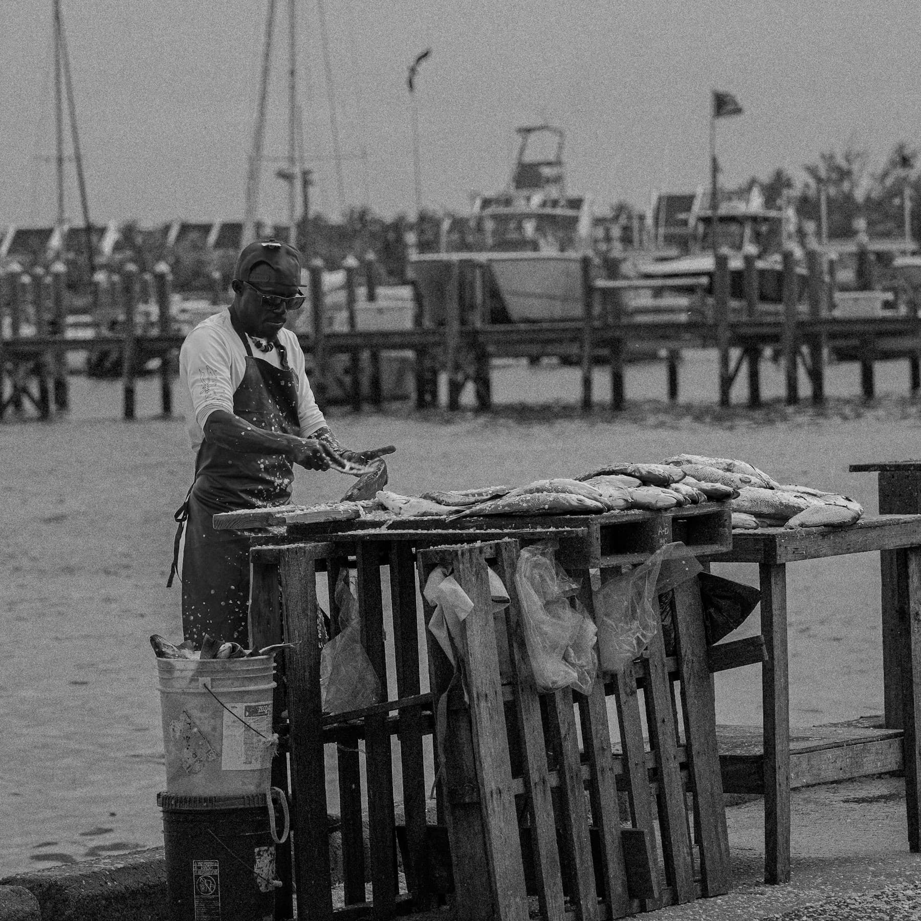 Professionnel de la vente de poisson dans une scène économique caribéenne réelle.